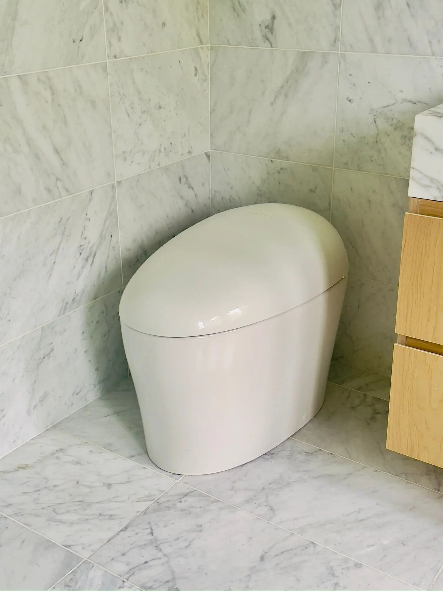A one-piece skirted toilet set into a marble-tiled corner.