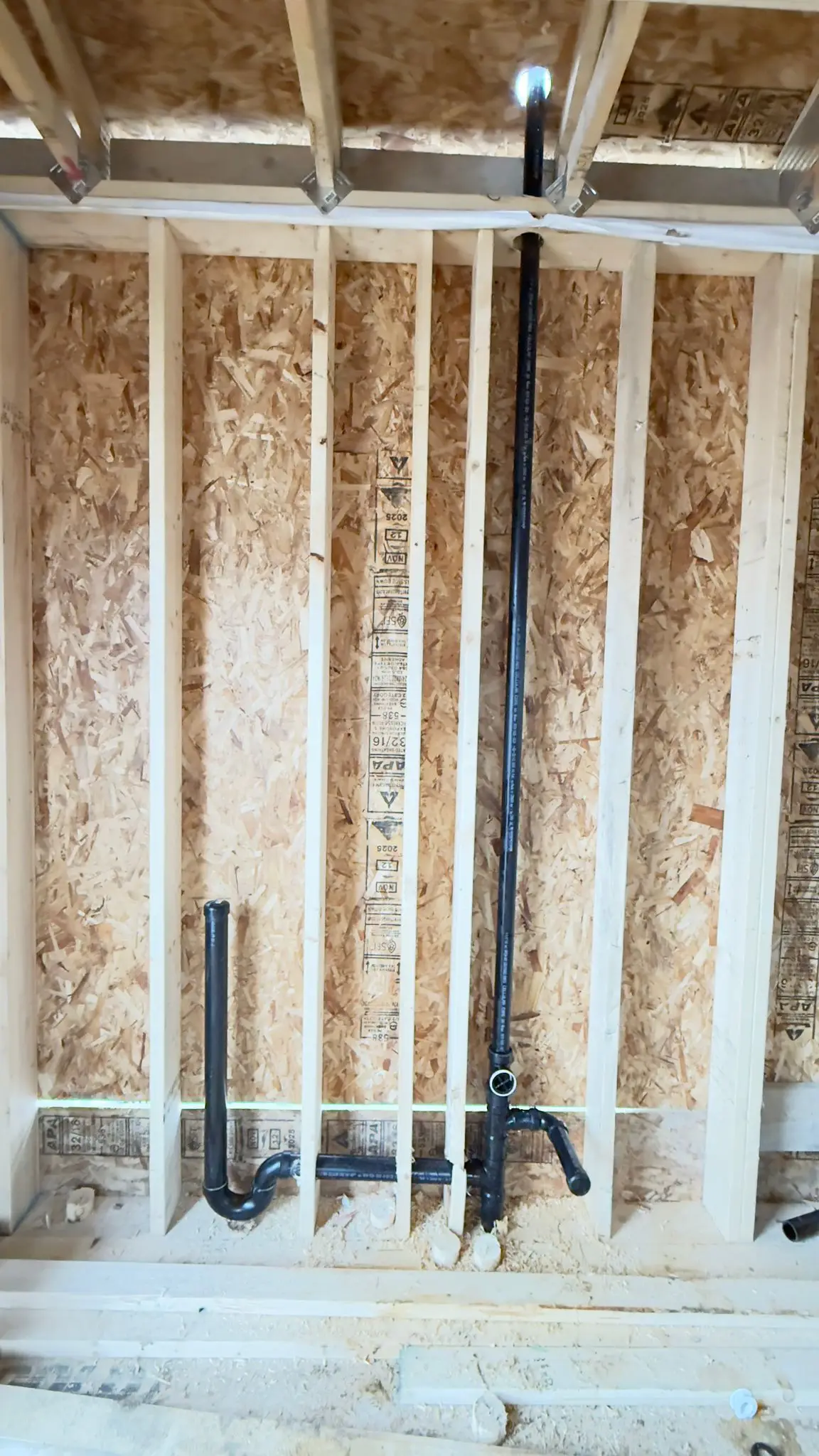 A drainage stack and trap arm roughed into an OSB wall.