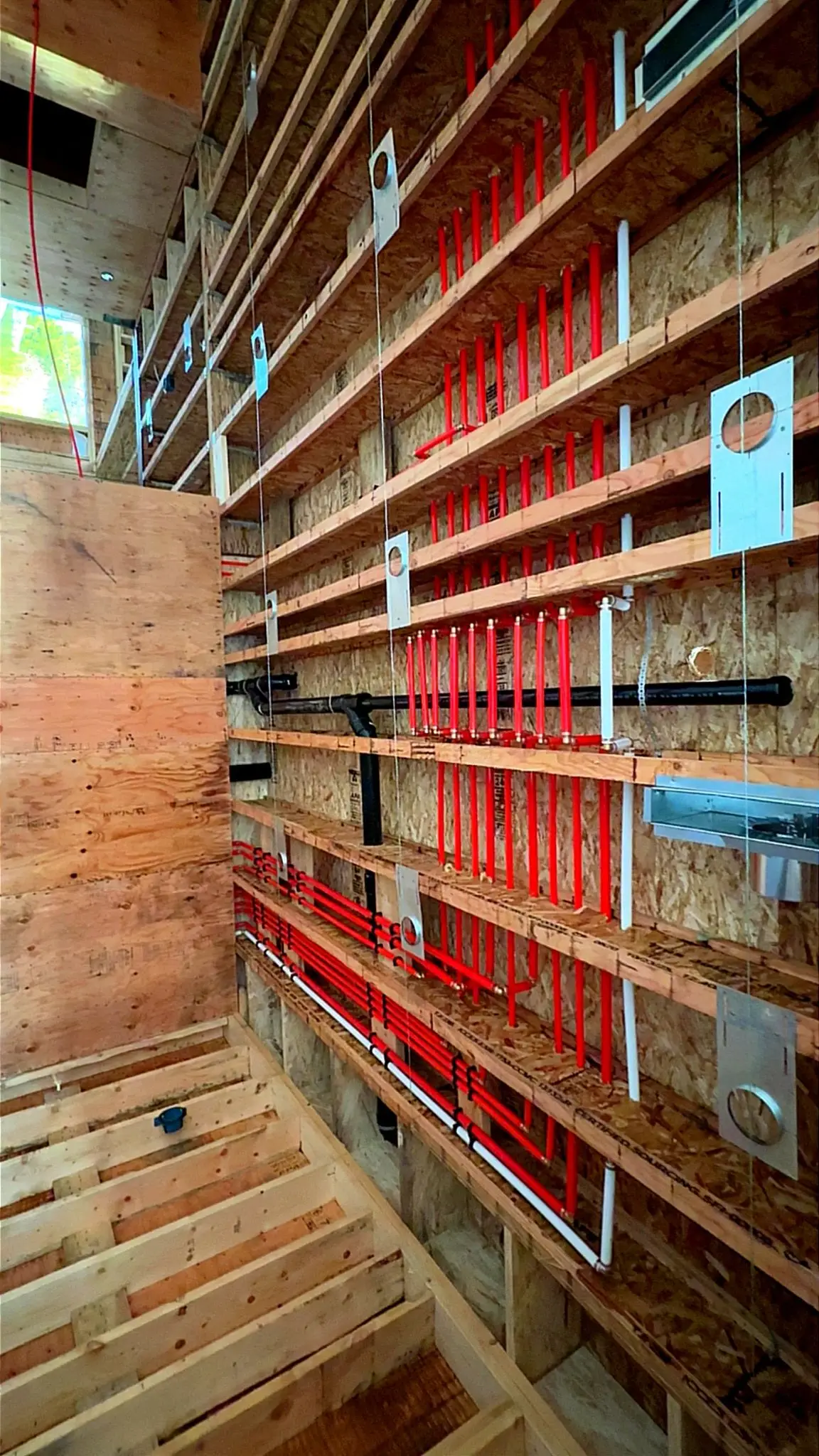 A wall of red PEX supply lines run through the studs, every line clipped straight.