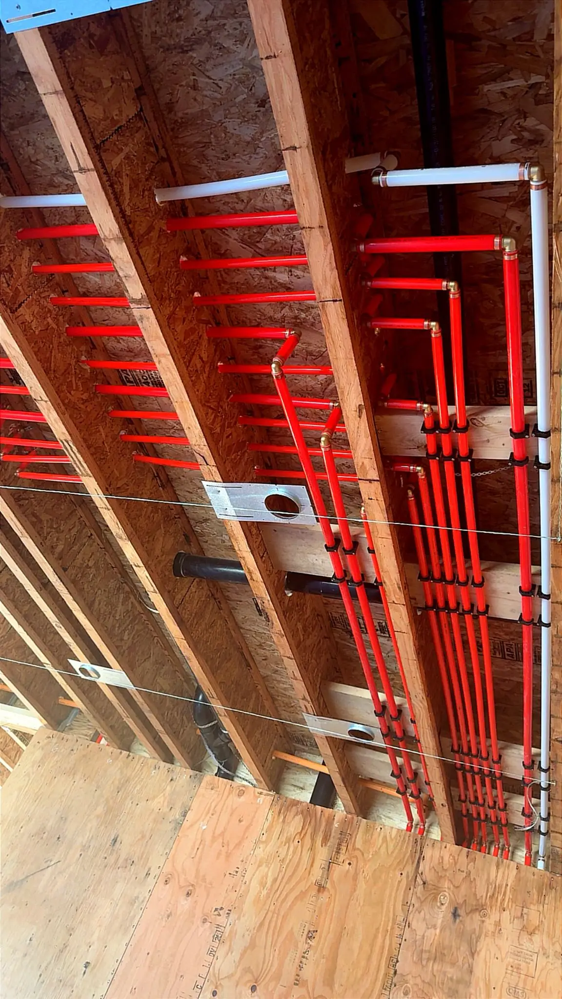 Supply and drainage carried up the same joist bay on a new build.