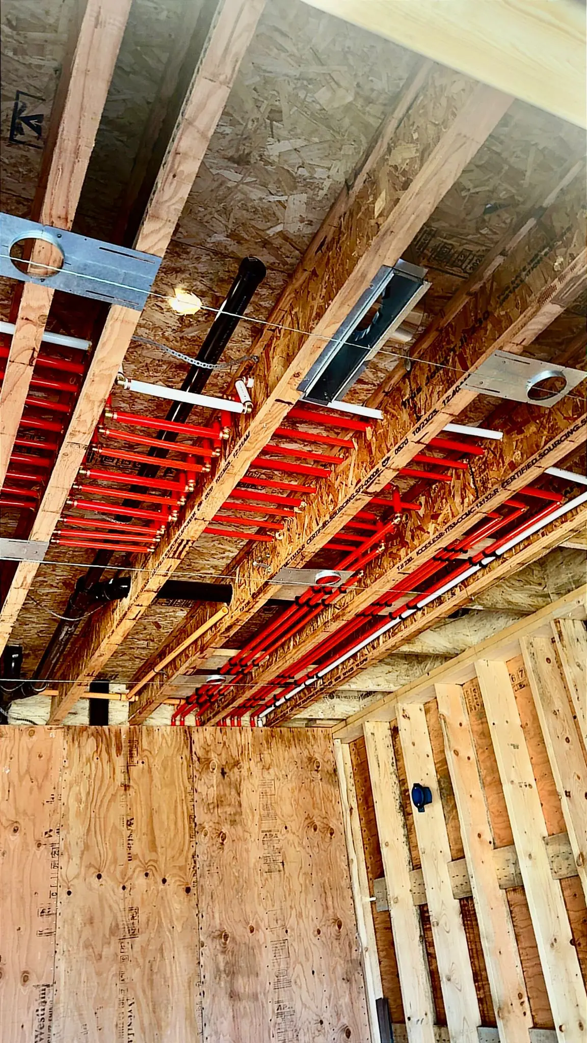 Supply and drainage rough-in through the framing of a new build.