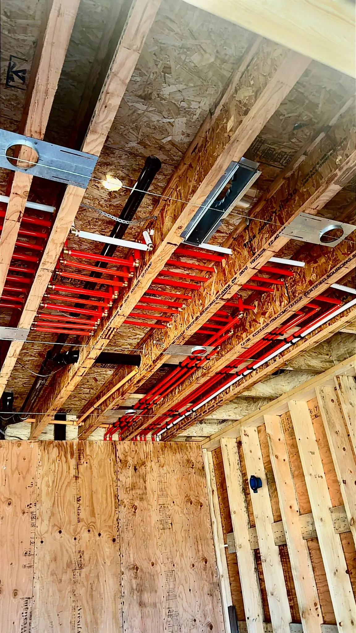 Supply and drainage rough-in through the framing of a new build.