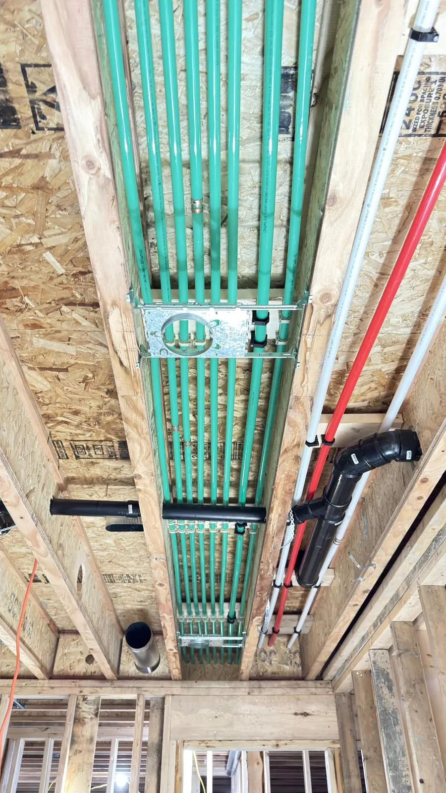 Green PEX for in-floor radiant heating run through the ceiling joists.